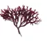 Instructions for use for Phytodefrisant Gel de Cuidado Retoque Anti-Frizz, 50 ml - 4