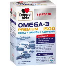 DOPPELHERZ Omega-3 Premium 1500 system Capsules, 120 cápsulas