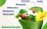 Instructions for use for Voltanatura Gel Vegetal para Tensão Muscular (100 ml) - 7
