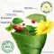 Voltanatura Gel Vegetal para Tensão Muscular (100 ml)