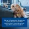 NUREXAN ad us.vet.comprimidos, 100 unid