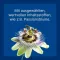 NUREXAN ad us.vet.comprimidos, 100 unid