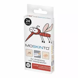 MOSKINTO Caixa dobrável de gesso suspensa Euro perfurada, 24 pcs