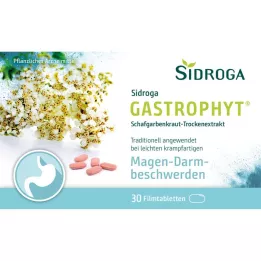 SIDROGA GastroPhyt 250 mg comprimidos revestidos por película, 30 unid
