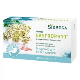SIDROGA GastroPhyt 250 mg comprimidos revestidos por película, 30 unid