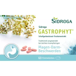SIDROGA GastroPhyt 250 mg comprimidos revestidos por película, 60 unidades