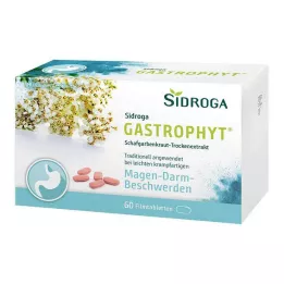 SIDROGA GastroPhyt 250 mg comprimidos revestidos por película, 60 unidades