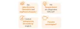Instructions for use for Shampoo lâmina de cetoconazol 20 mg/g, 60 ml - 2