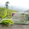 H&amp;S Saco de filtro de chá verde orgânico de Darjeeling, 20X2 g