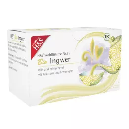 H&amp;S S Saco de filtro de gengibre orgânico, 20X2 g