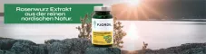 Instructions for use for Cápsulas Fjordil Rhodiola Rosea (90 peças) - 1