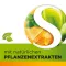 Dobensana Herbal Honey Vitaminas C & Zinco Pastil.(16 peças)