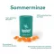 Ipalat Pastilles Flavor Edition Summer Mint (40 peças)