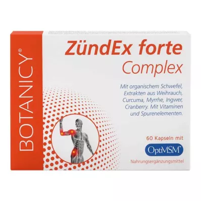 ZÜNDEX Forte Complex com OptiMSM Cápsulas, 60 Cápsulas