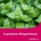 LINGUMELT comprimidos orodispersíveis agudos, 6 unidades
