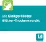 Instructions for use for Ginkgo biloba - 1 comprimido revestido por película A Pharma® 120 mg, 60 unid - 7