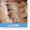 CAPSTAR Comprimidos de 11,4 mg para gatos/cães pequenos, 1 unidade