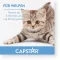 CAPSTAR Comprimidos de 11,4 mg para gatos/cães pequenos, 1 unidade