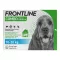 FRONTLINE Combo Spot on Dog M Lsg.z.Auf.a.Haut, 3 pcs