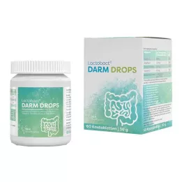 LACTOBACT DARM DROPS Comprimidos mastigáveis, 60 unidades