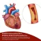 BEH Artery+ Capsules, 90 Cápsulas