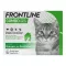 FRONTLINE COMBO SPOT ON Gato, 6 peças