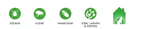 Instructions for use for FRONTLINE COMBO SPOT ON Gato, 6 peças - 3
