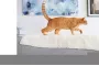 Instructions for use for FRONTLINE COMBO SPOT ON Gato, 6 peças - 4
