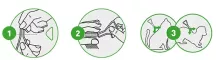 Instructions for use for FRONTLINE COMBO SPOT ON Gato, 6 peças - 5