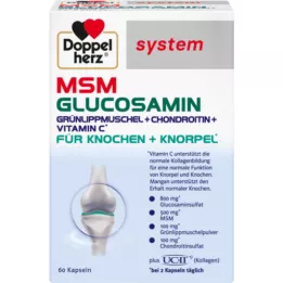 DOPPELHERZ MSM Glucosamine system capsules, 60 unidades