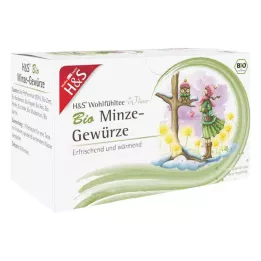 H&amp;S S Saco de filtro para especiarias de chá de inverno com menta orgânica, 20X2,0 g