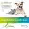 PREVANTIL vital-kur suspensão para cães/gatos, 50 ml