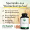 GREEN NATURALS Spermidine 1.6 mg cápsulas veganas, 240 pcs