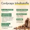 Cápsulas Green Naturals Cordyceps sinensis, 180 unidades