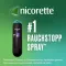 Nicorette Fruit & Spray de menta 1 mg / spray Nfc, 1 un
