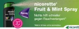 Instructions for use for Nicorette Fruit & Spray de menta 1 mg / spray Nfc, 2 unidades - 1