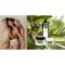 Banho de Duche Plantana Olive Care com Azeitona Orgânica, 500 ml