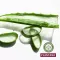 Banho de Duche Plantana Aloe Vera Care com Aloe Vera Orgânico, 500 ml