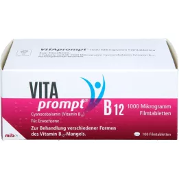 VITAPROMPT Comprimidos revestidos por película de 1000 microgramas, 100 unidades