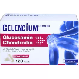 GELENCIUM Glucosamina Condroitina dose elevada Vit C Kps, 120 Cápsulas