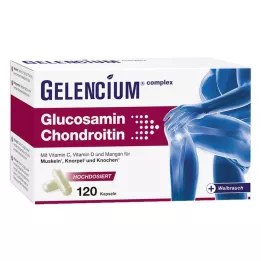 GELENCIUM Glucosamina Condroitina dose elevada Vit C Kps, 120 Cápsulas